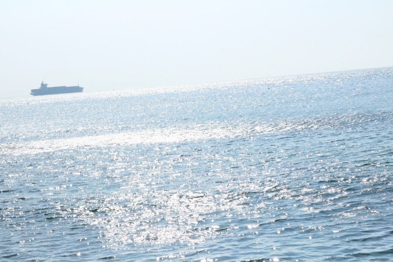 Shout It Outという私の青春のすべて Halu Amatsuji Note