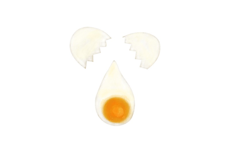 たまご のイラスト あや あしあと手帳２ Note