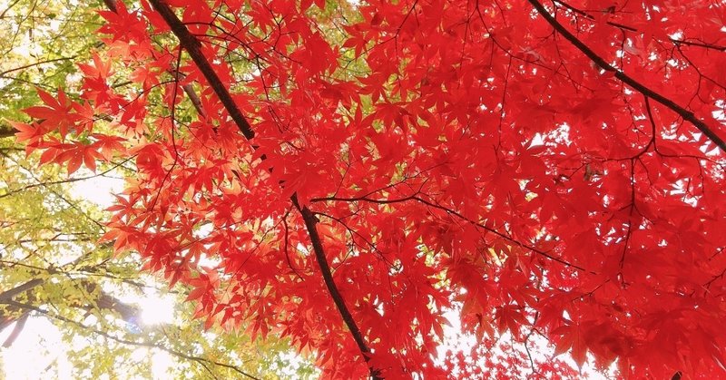 借りぐらしのアリエッティ の定番タグ記事一覧 Note つくる つながる とどける