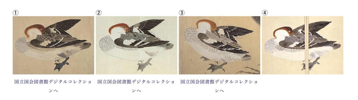 日本初の本格的な植物図鑑・岩崎灌園「本草図譜」|ちびっと 日本初の本格的な植物図鑑・岩崎灌園「本草図譜」|ちびっと