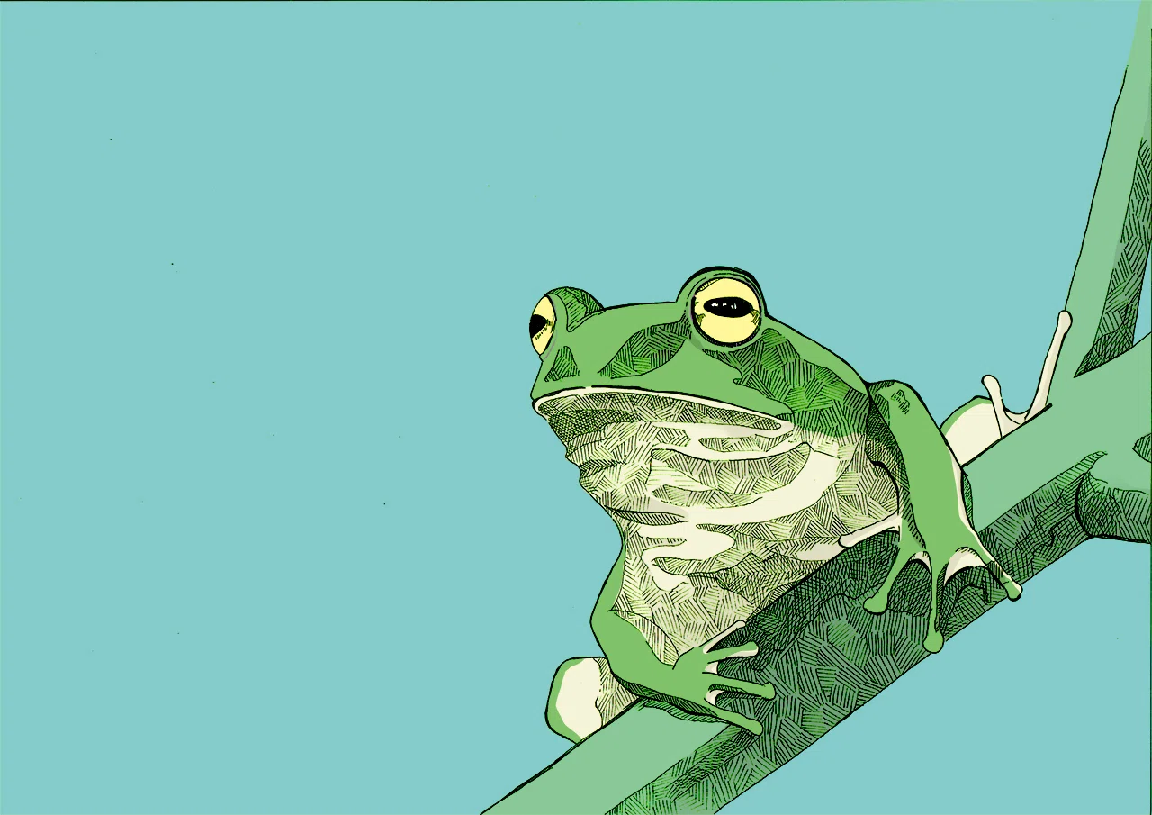 カエル イラスト Soichiro Note