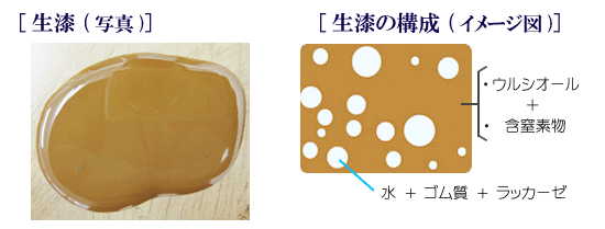 うるしページ うるし」の説明 その1 うるしの分類と成分｜DIYうるし部（12坪漆工）