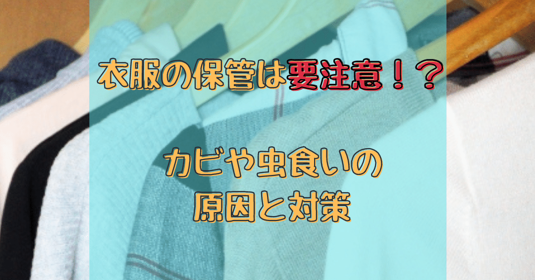 衣服の保管は要注意 カビや虫食いの原因と対策 クリーニング屋さんで働くおにいさん Lacuri ラクリ Note