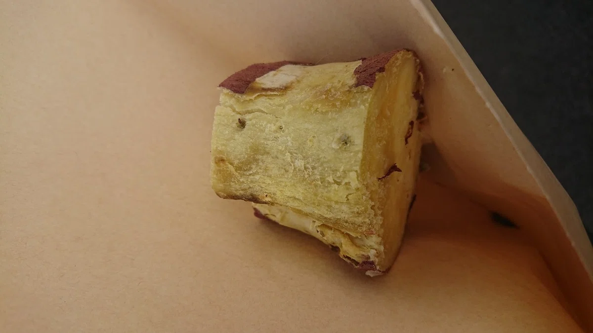 画像17