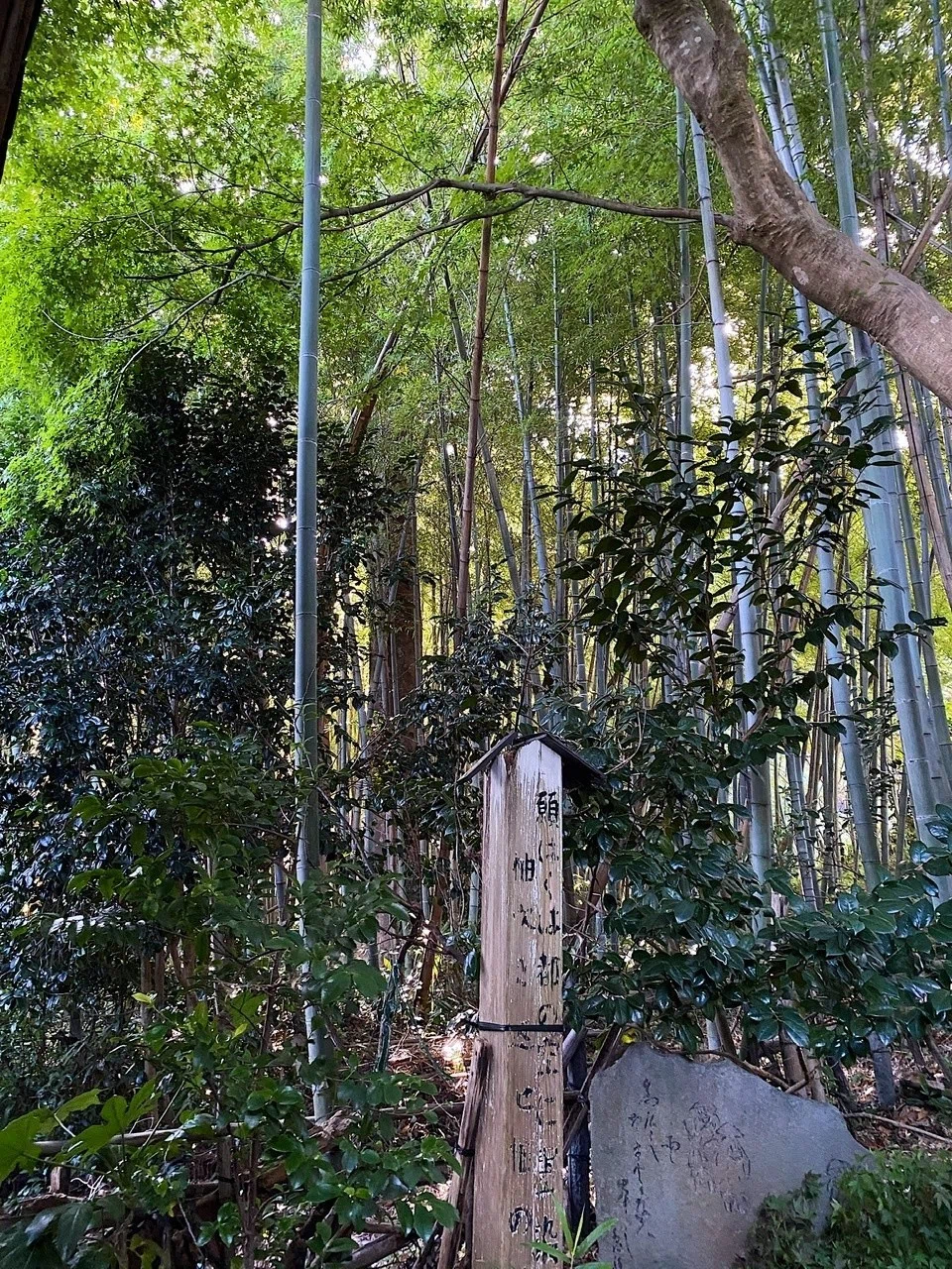 画像6