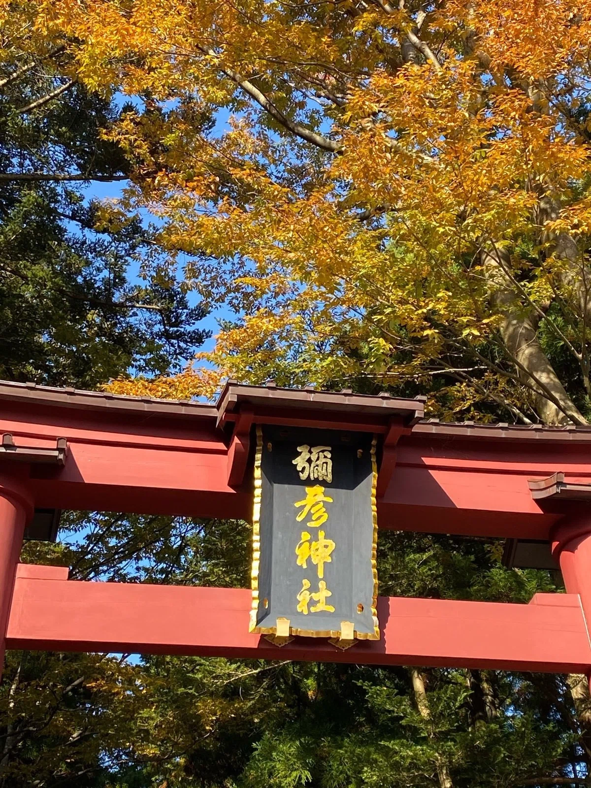 画像13