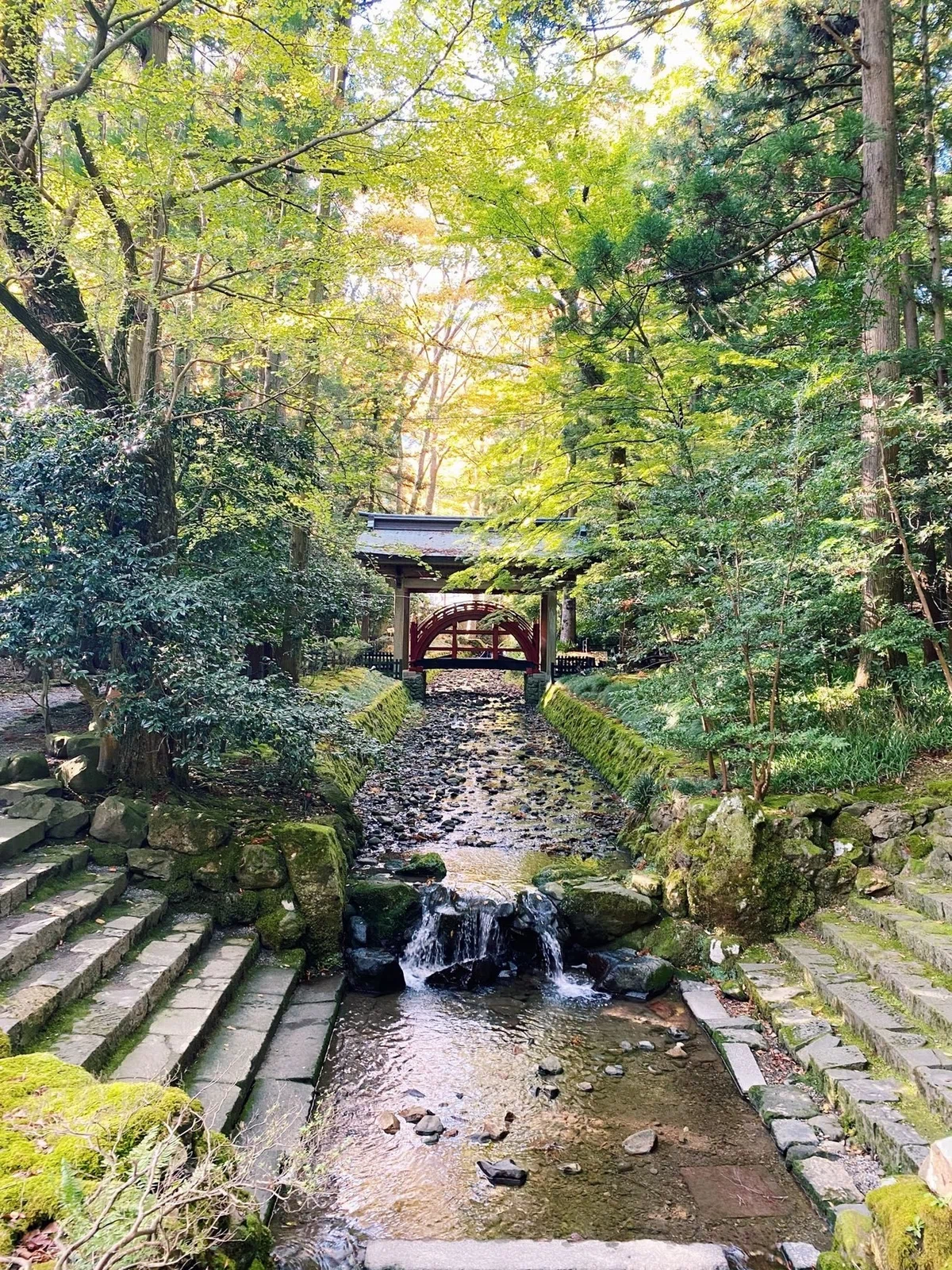 画像14