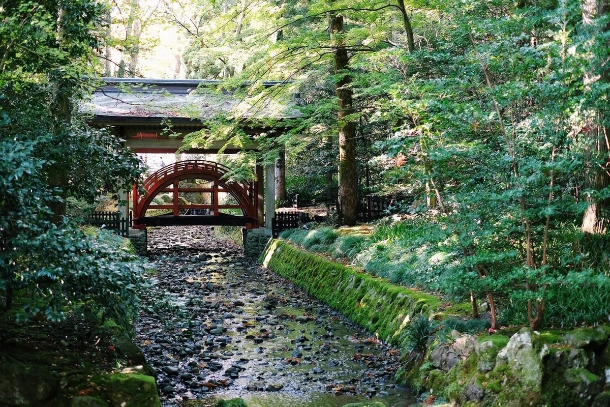 画像15