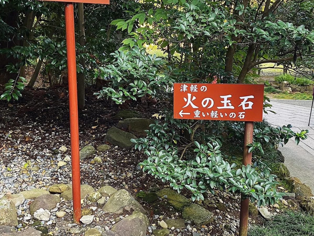 画像20