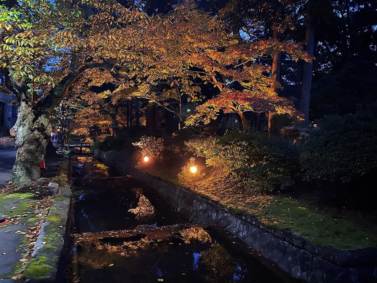 画像30