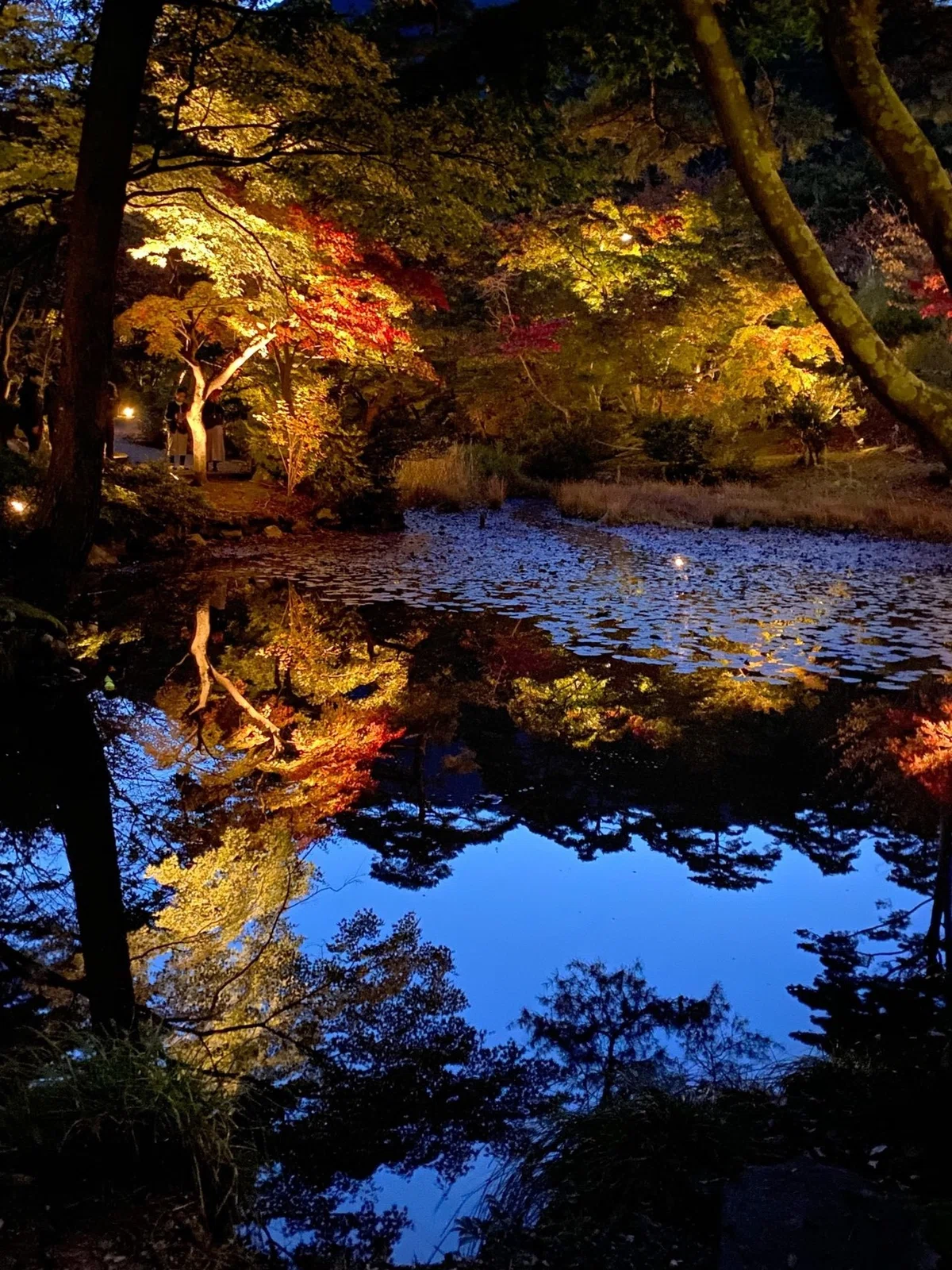 画像31