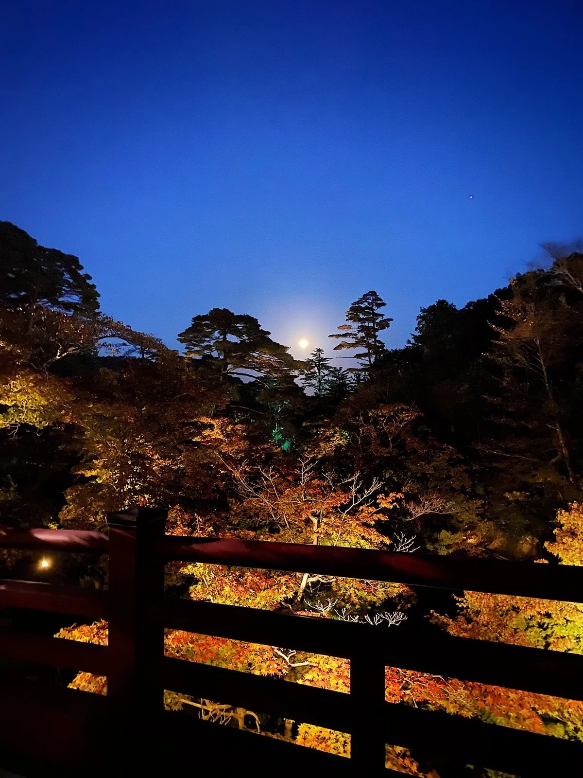 画像32