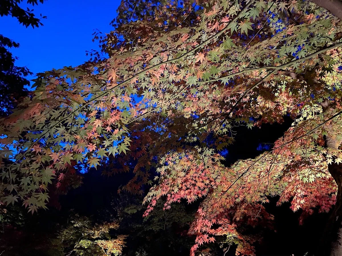 画像33