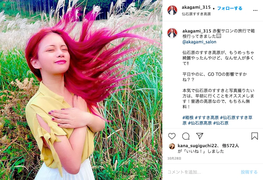 赤髪社長はInstagramを攻略することができるのか【難易度EX】｜港キラねこ