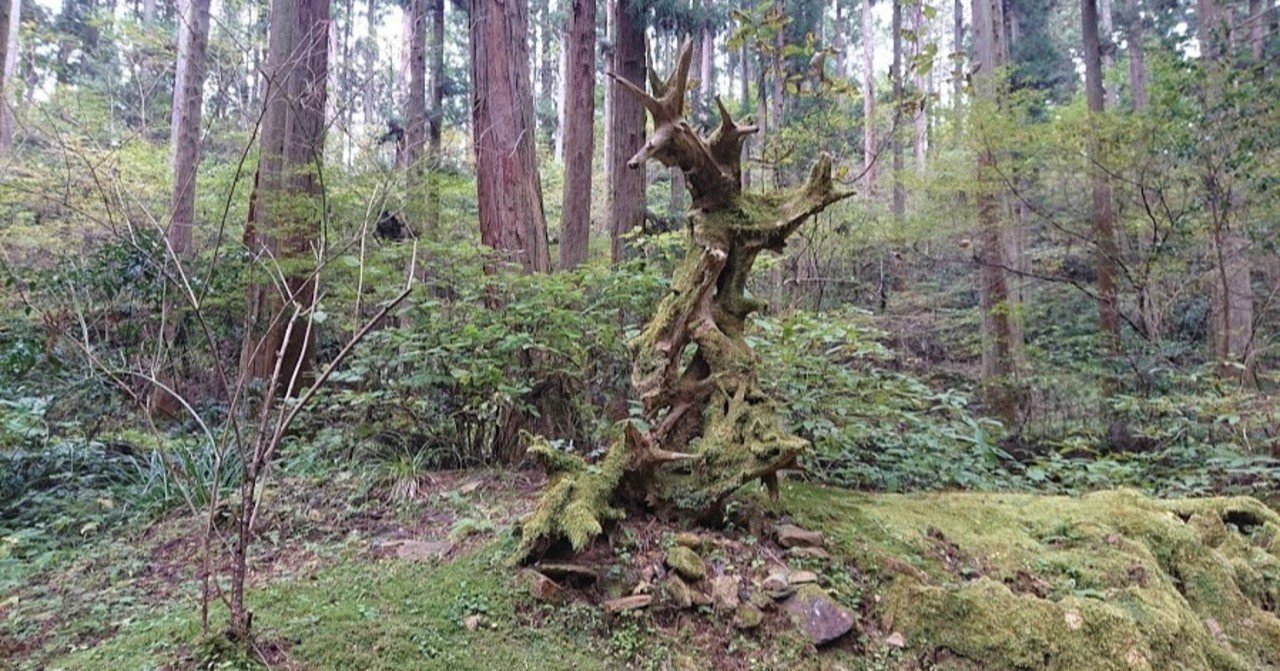 御岩神社 宇宙から光の柱が見える場所 Yasu Note 御岩神社 宇宙から光の柱が見える場所 Yasu Note
