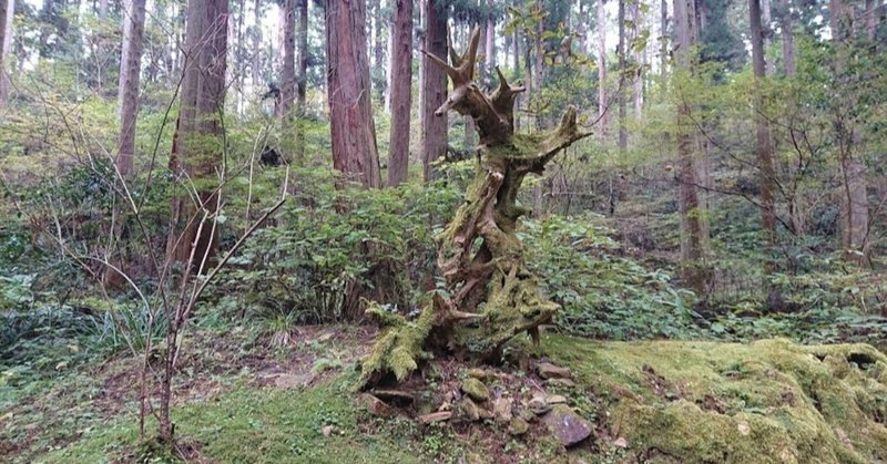 御岩神社 宇宙から光の柱が見える場所 Yasu Note 御岩神社 宇宙から光の柱が見える場所 Yasu Note