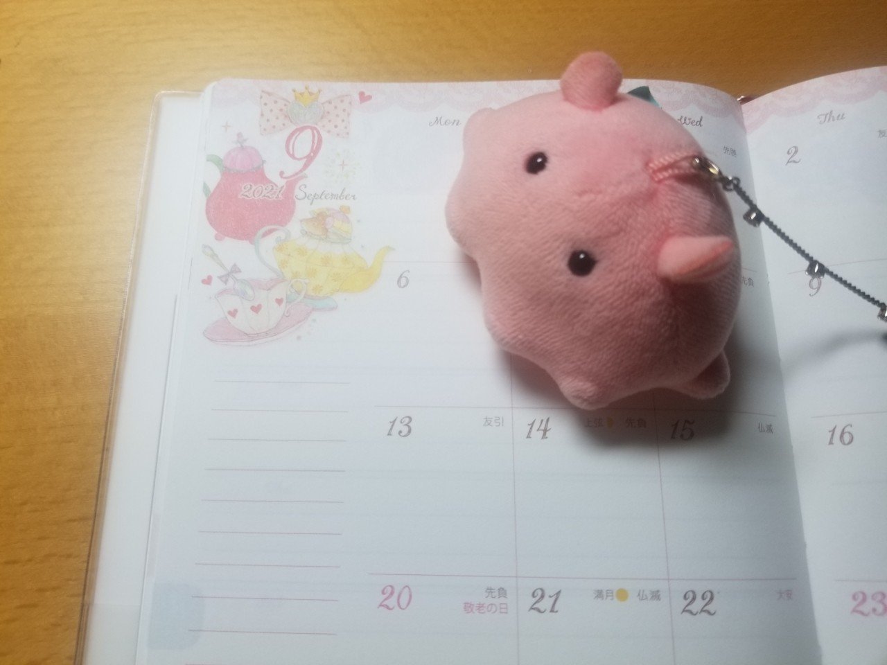 めんだこ日記80 未来と予定と不思議の国 めんだこと仲間たち Note めんだこ日記80 未来と予定と不思議の国 めんだこと仲間たち Note