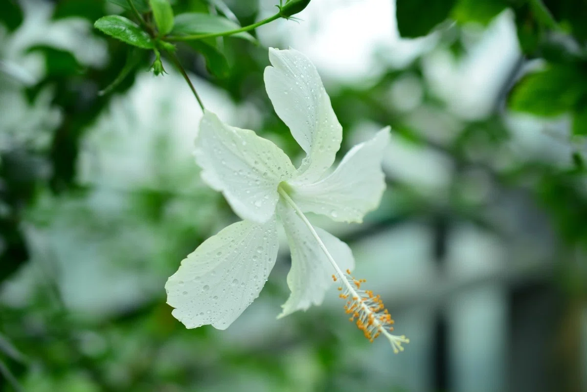 画像20