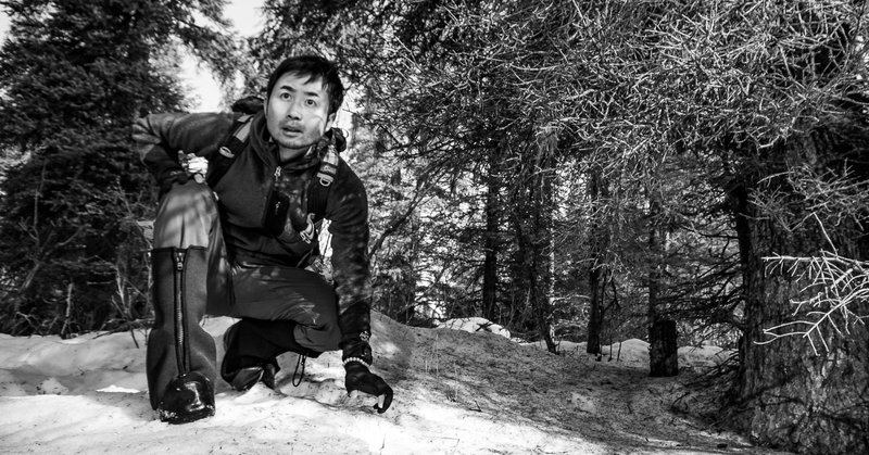 アラスカで活動する日本人の自然写真家 海外で写真を学んでゆく Nakashimaphotography Com より Note アラスカで活動する日本人の自然写真家 海外で写真を学んでゆく Nakashimaphotography Com より Note