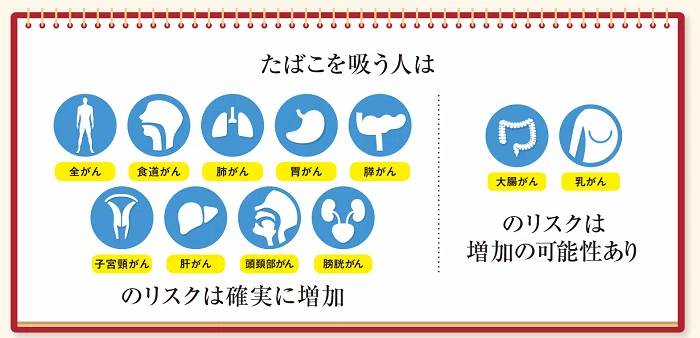 国立がん研究センター_科学的根拠に基づくがん予防_A5小冊子