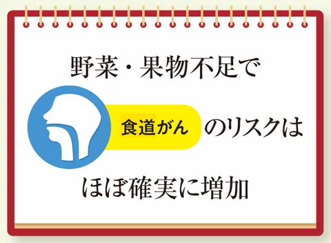国立がん研究センター_科学的根拠に基づくがん予防_A5小冊子_3