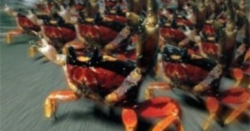 蟹が増殖というプロディジーのセンスが好き The Prodigy The Fat Of The Land Expanded Edition Sono Note