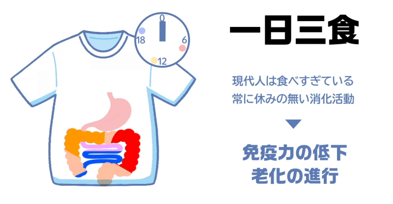 空腹 こそ最強のクスリ Gif図解 せう Note 空腹 こそ最強のクスリ Gif図解 せう Note