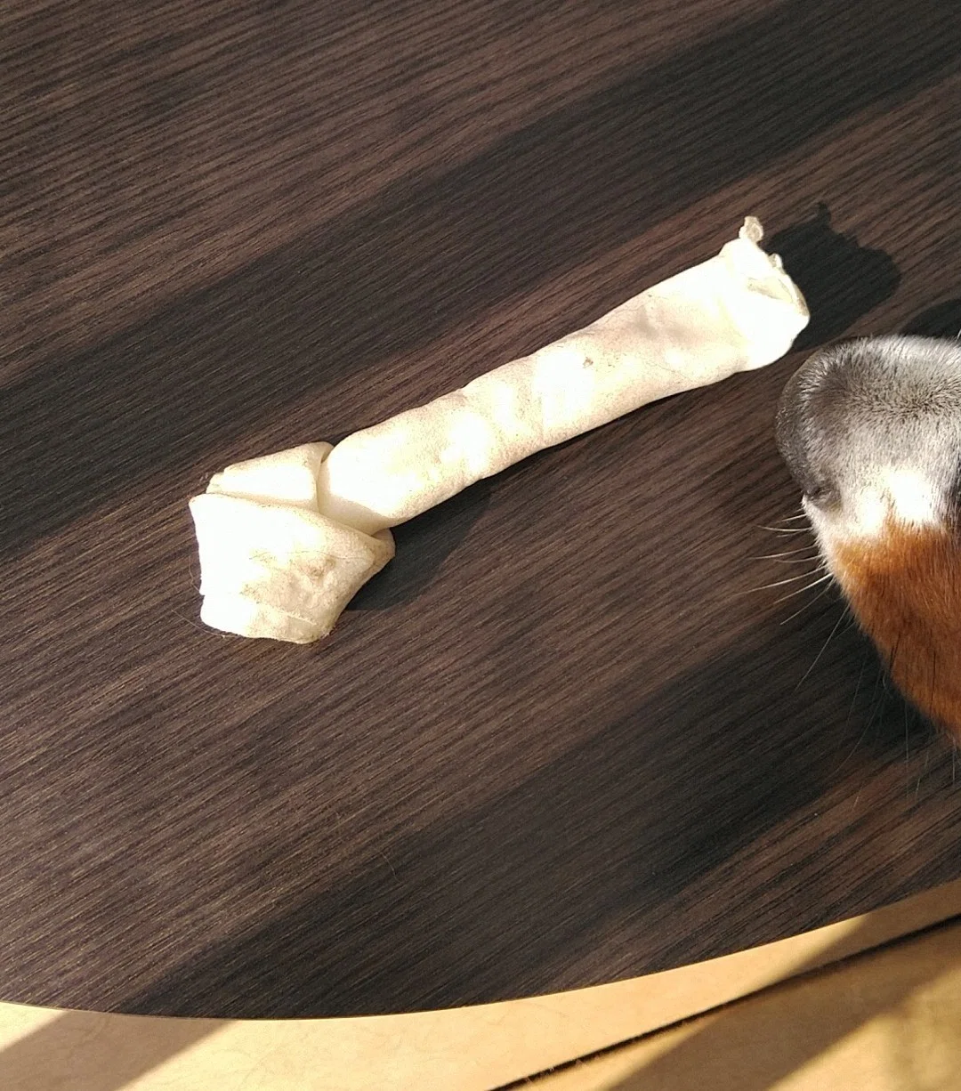 犬に骨を与える 割れと加熱について こなき屋 Note