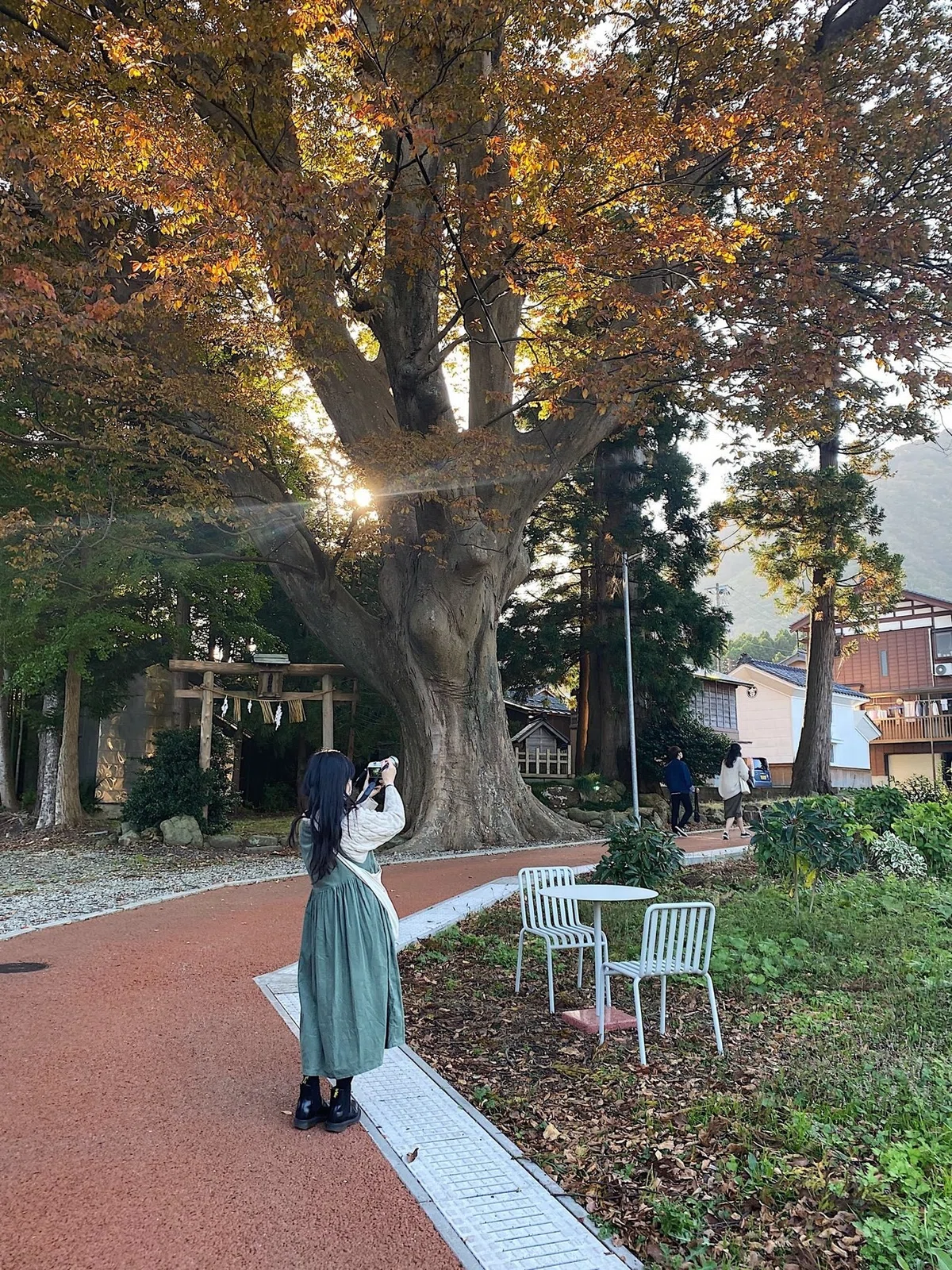 画像34
