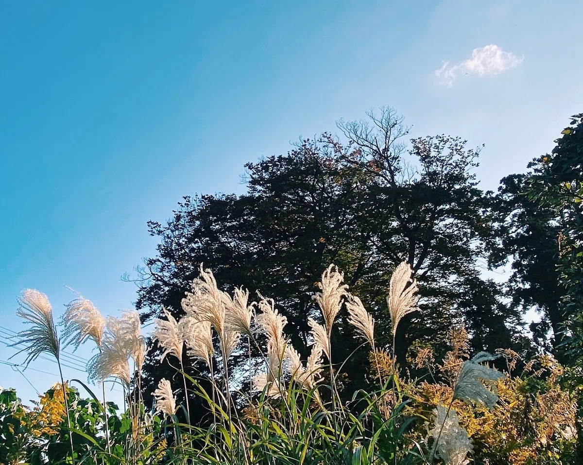 画像35