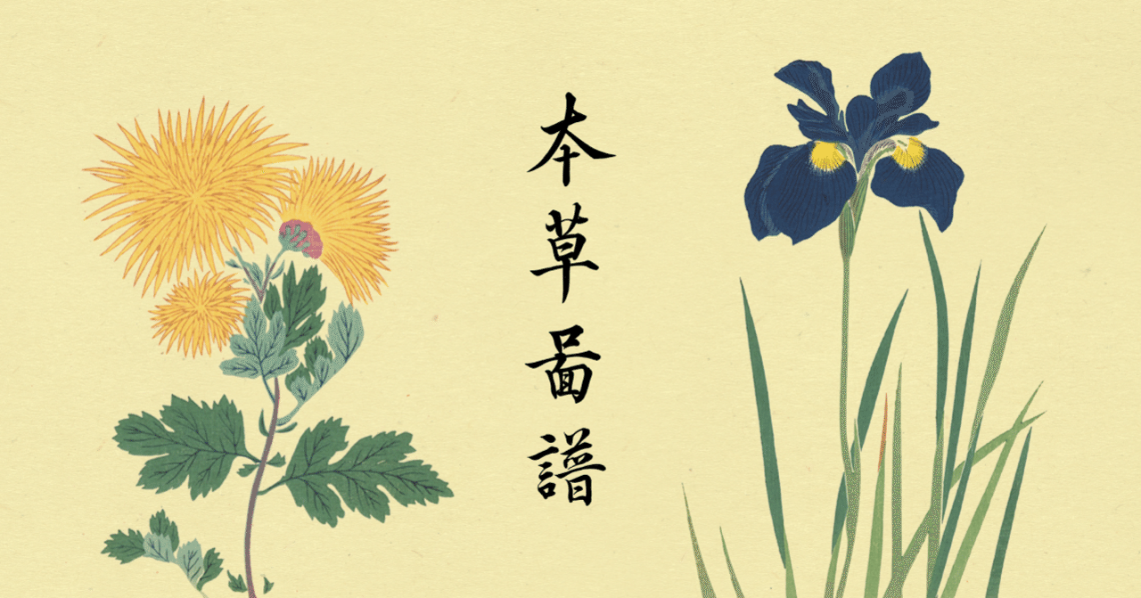 日本初の本格的な植物図鑑・岩崎灌園「本草図譜」｜ちびっと