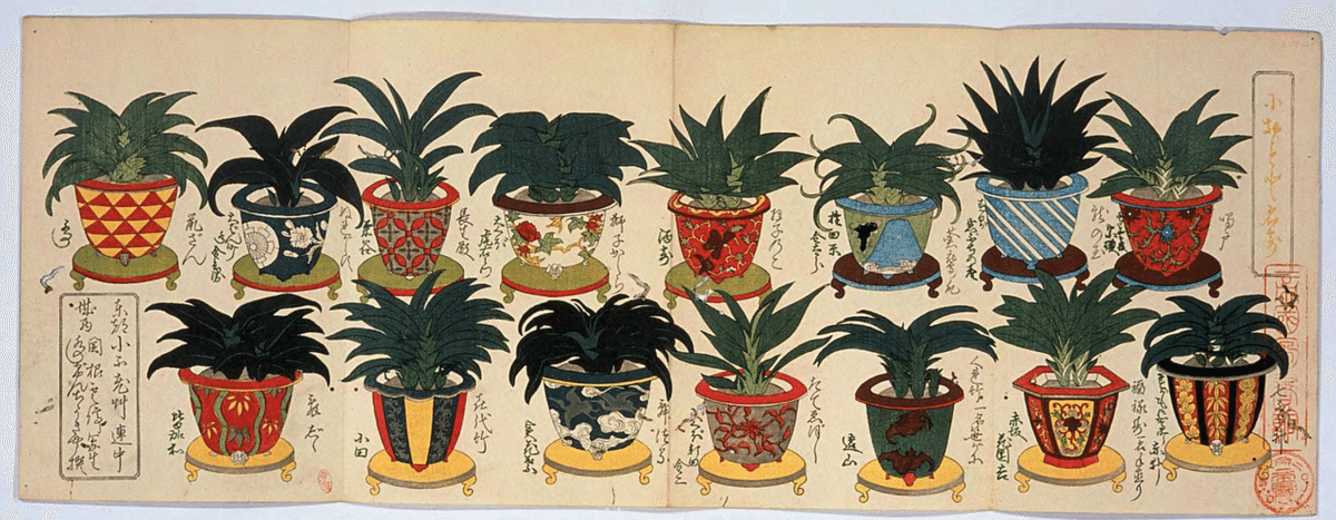 日本初の本格的な植物図鑑・岩崎灌園「本草図譜」|ちびっと 日本初の本格的な植物図鑑・岩崎灌園「本草図譜」|ちびっと