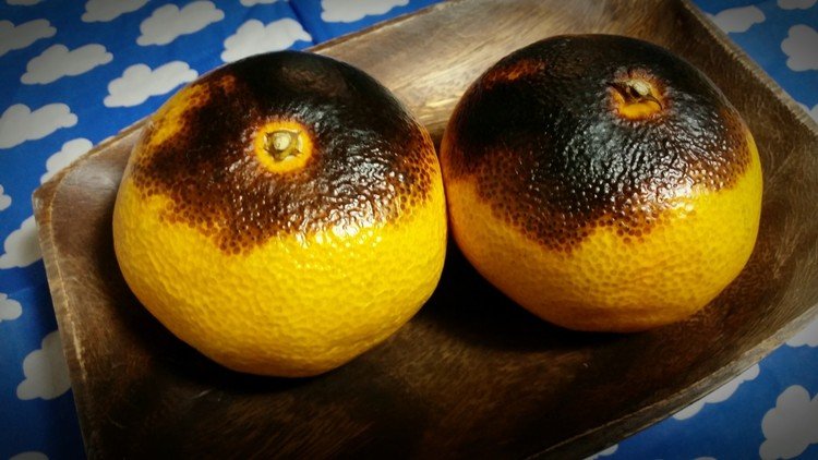 焼きみかん の新着タグ記事一覧 Note つくる つながる とどける