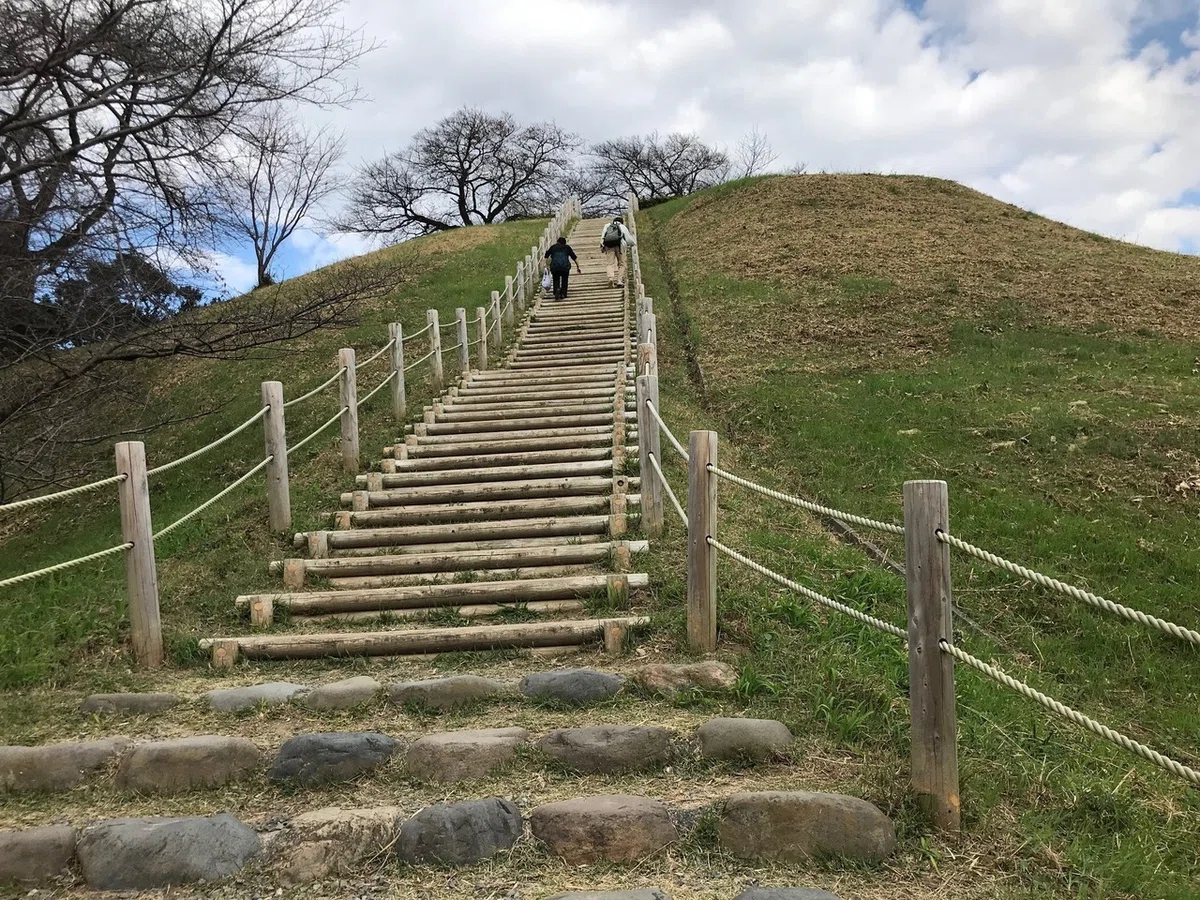 画像4