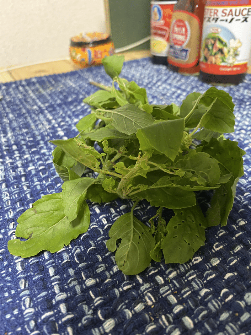 我流本格ガパオライスの作り方 ヤマサキッチン Note