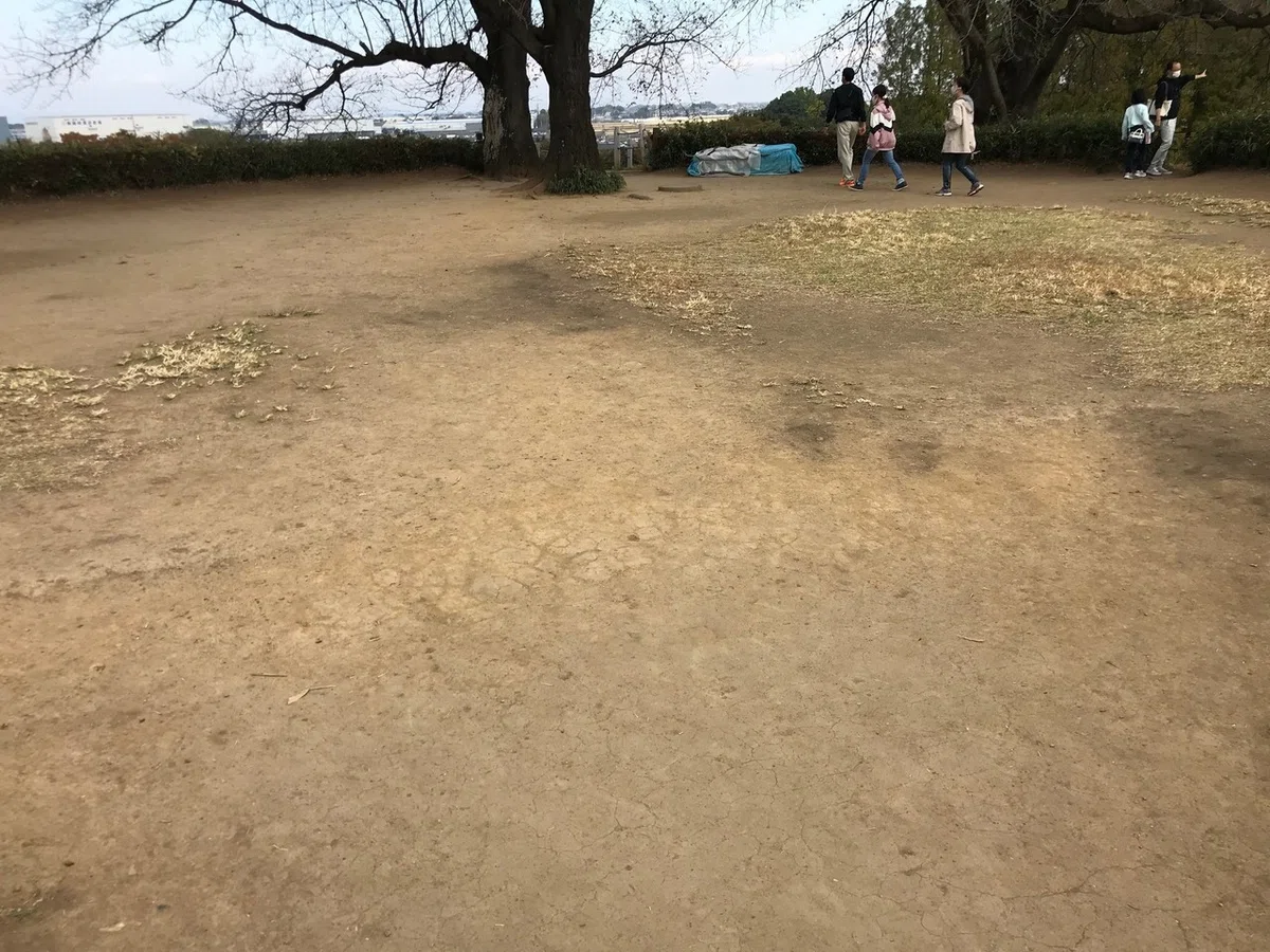 画像6