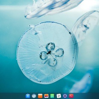 めんどうゆっくり