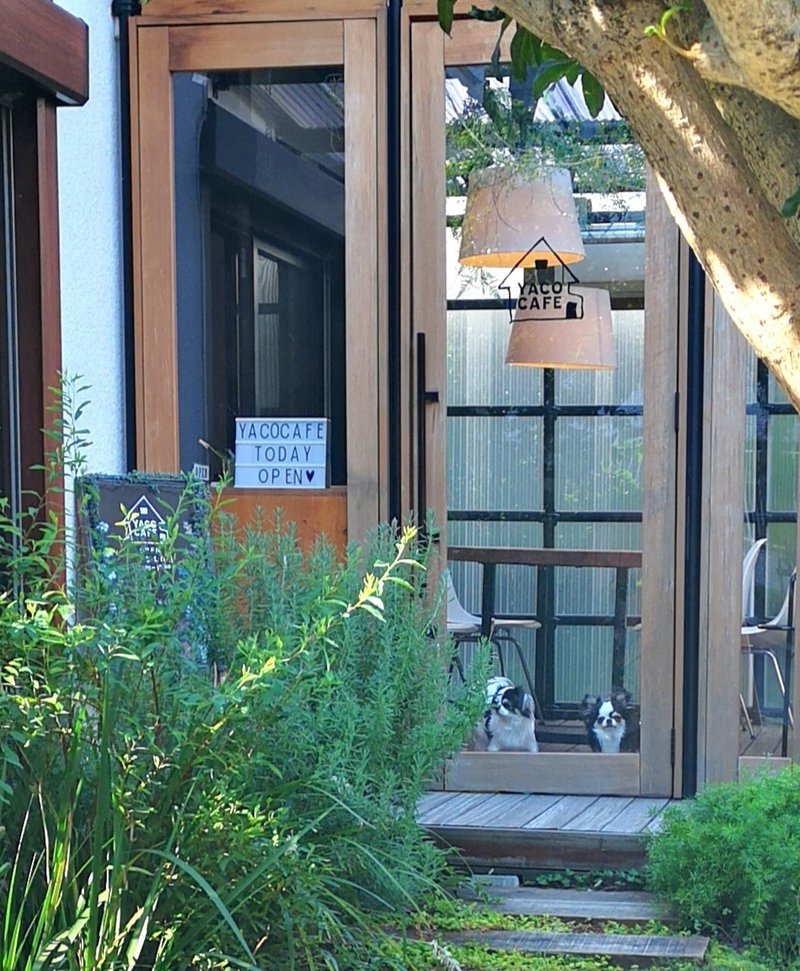 くつろぎの空間とチワワに癒されるペット同伴可の自宅カフェ Yacocafe ヤコカフェ 調布 国領 調布ブレス Vol 8 Mmmaki つたえびと Note