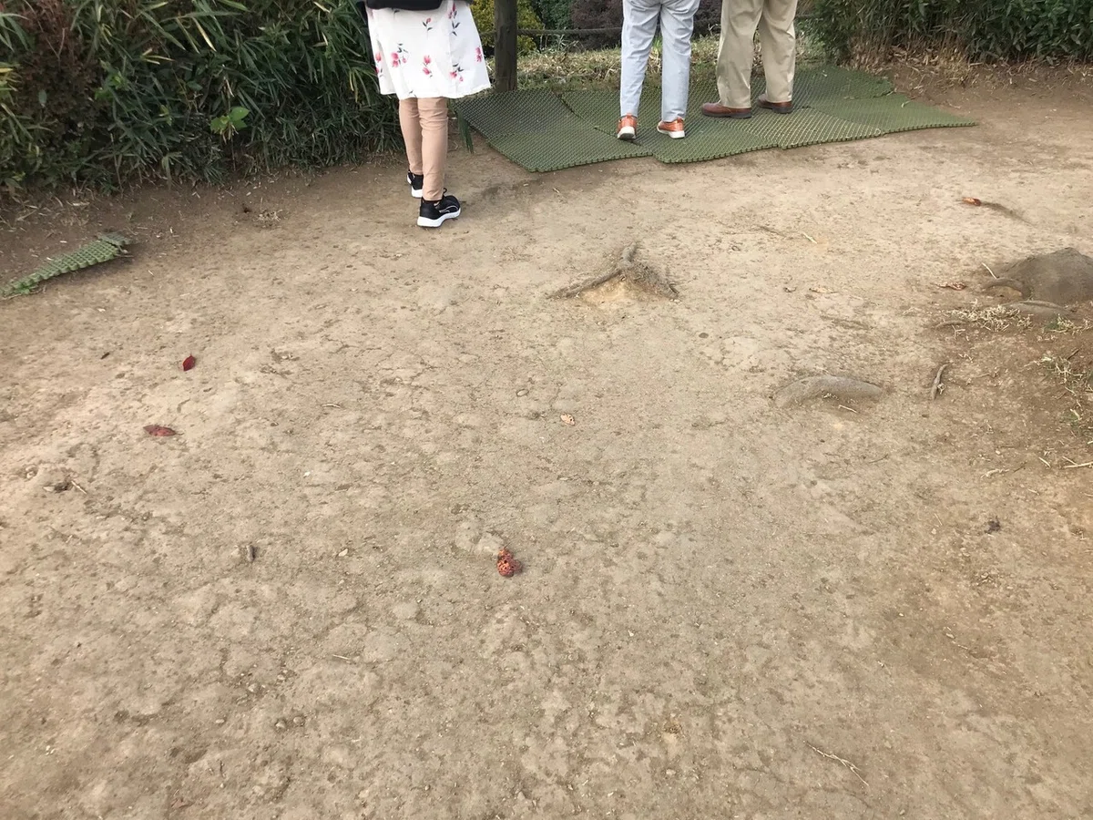 画像8