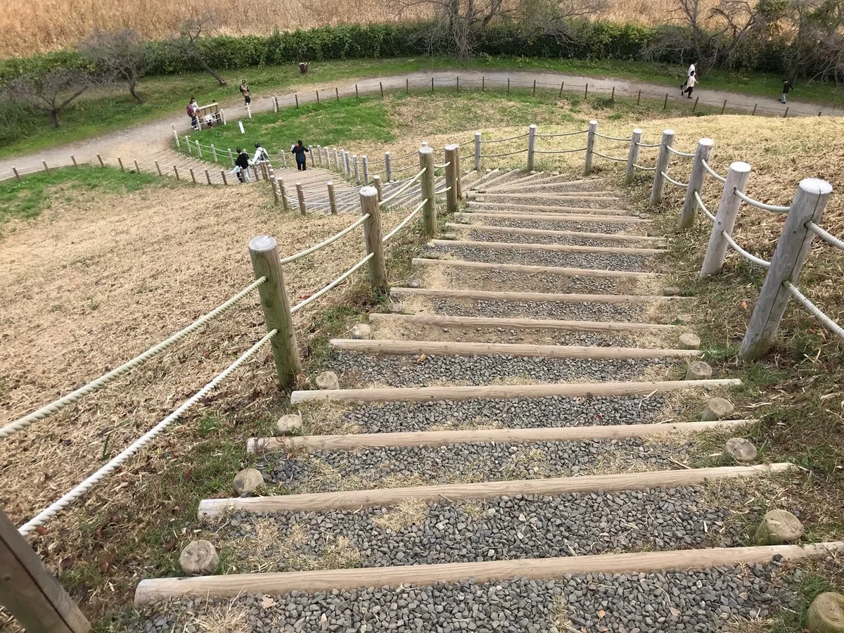 画像11