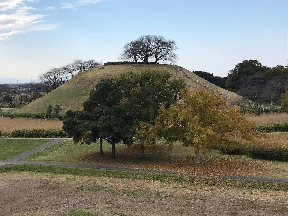画像23