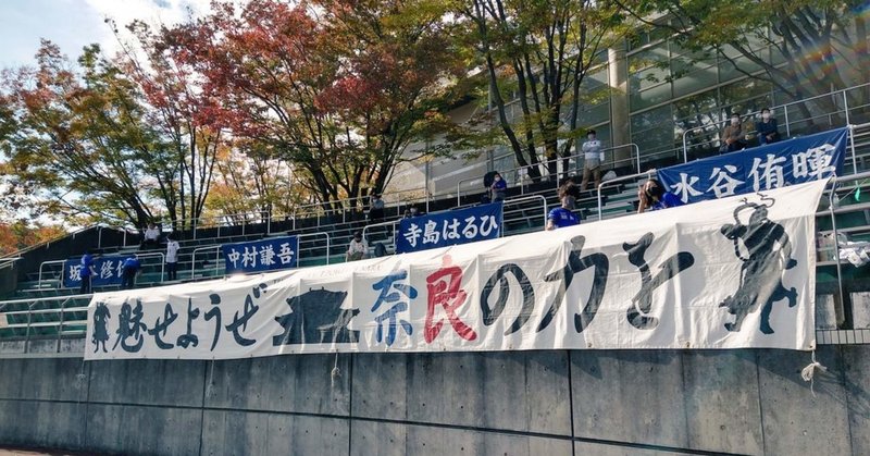 【サッカー観戦】JFL 第27節 東京武蔵野シティFC - 奈良クラブ