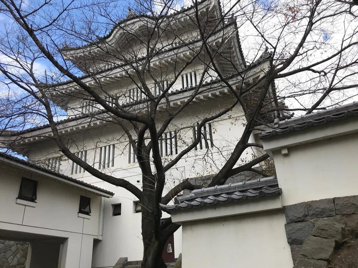 画像36