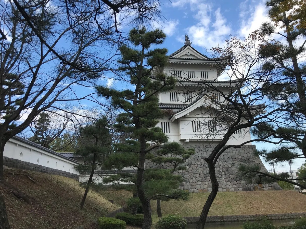 画像41