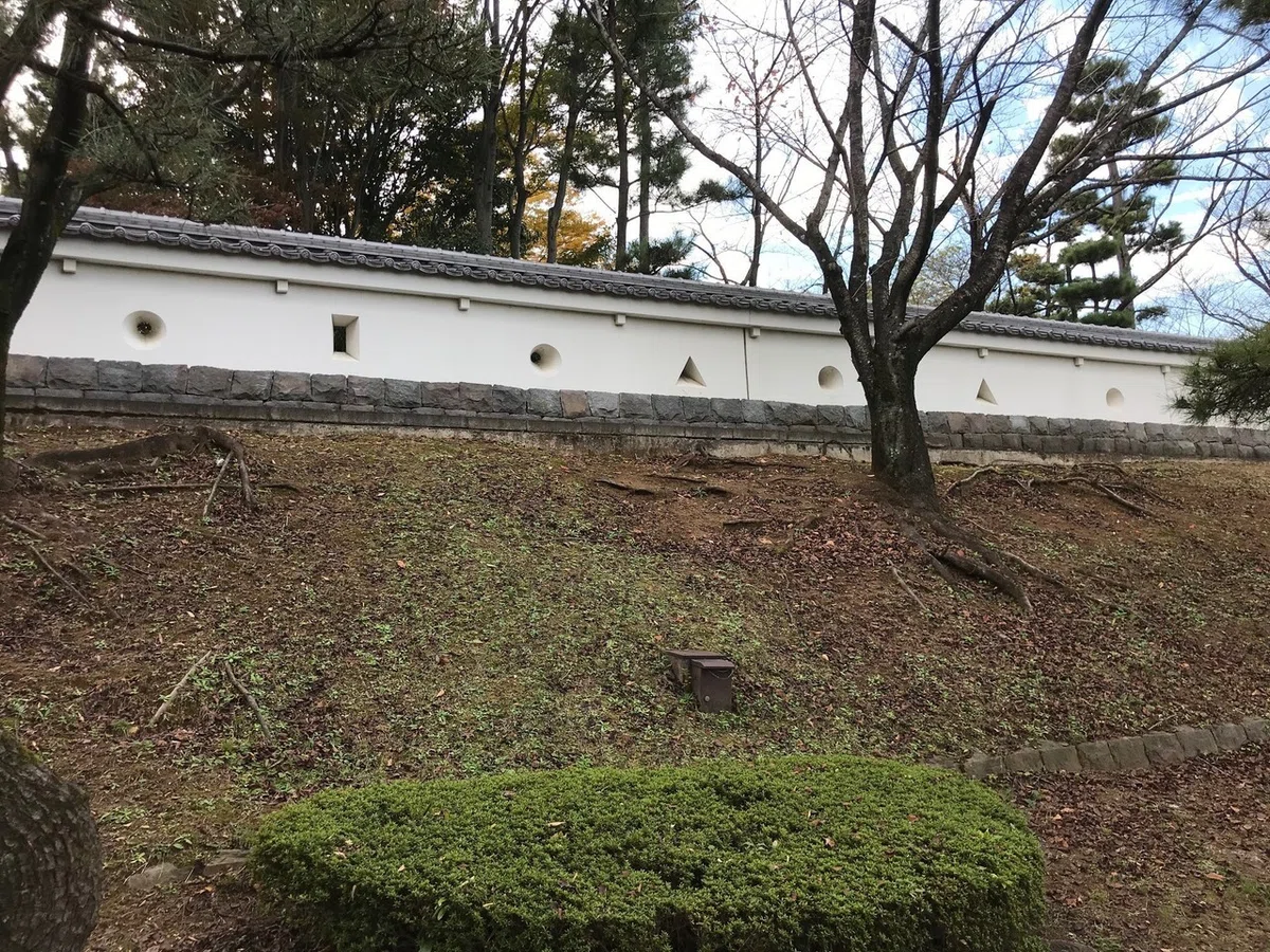 画像43