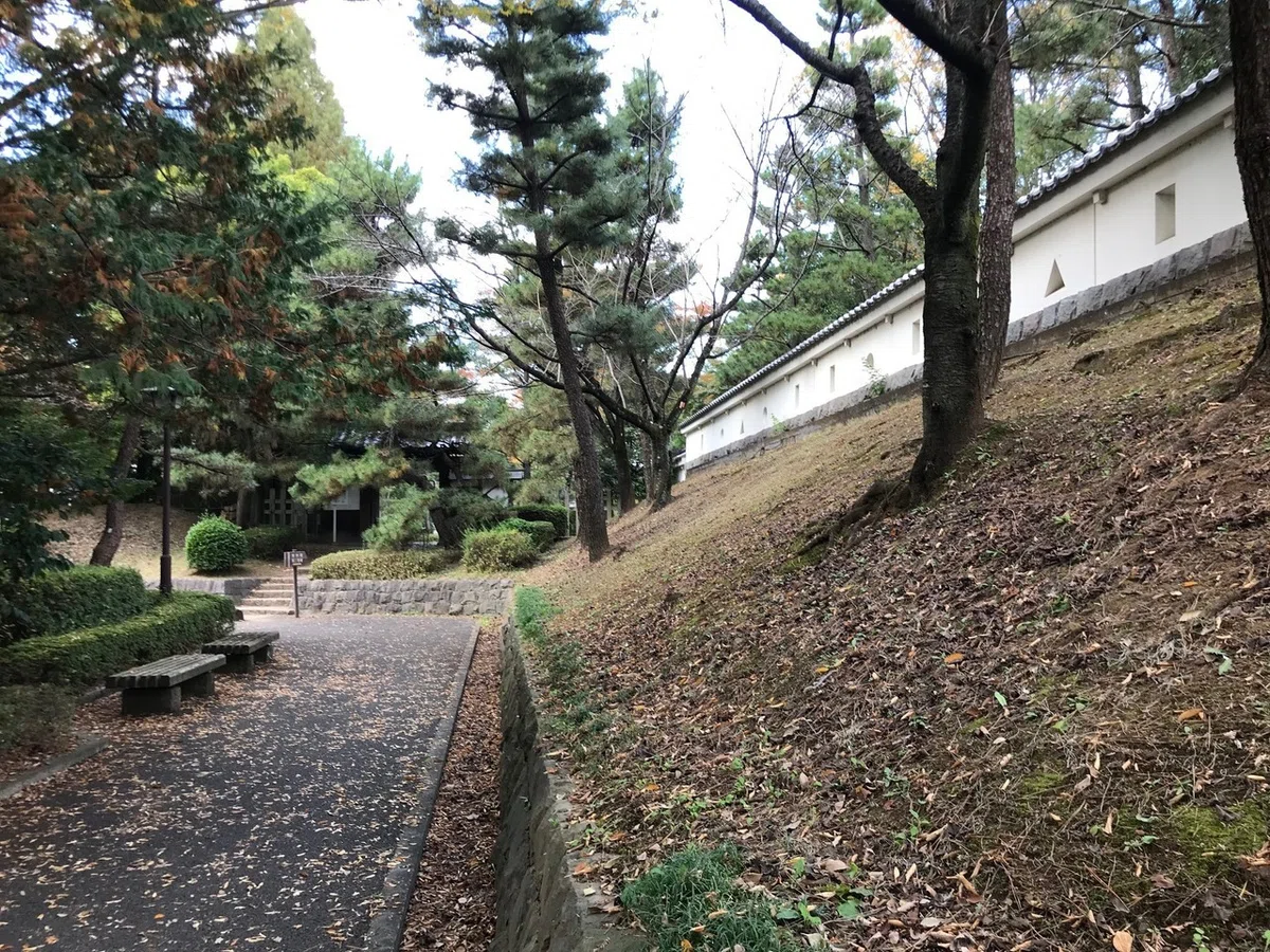 画像44
