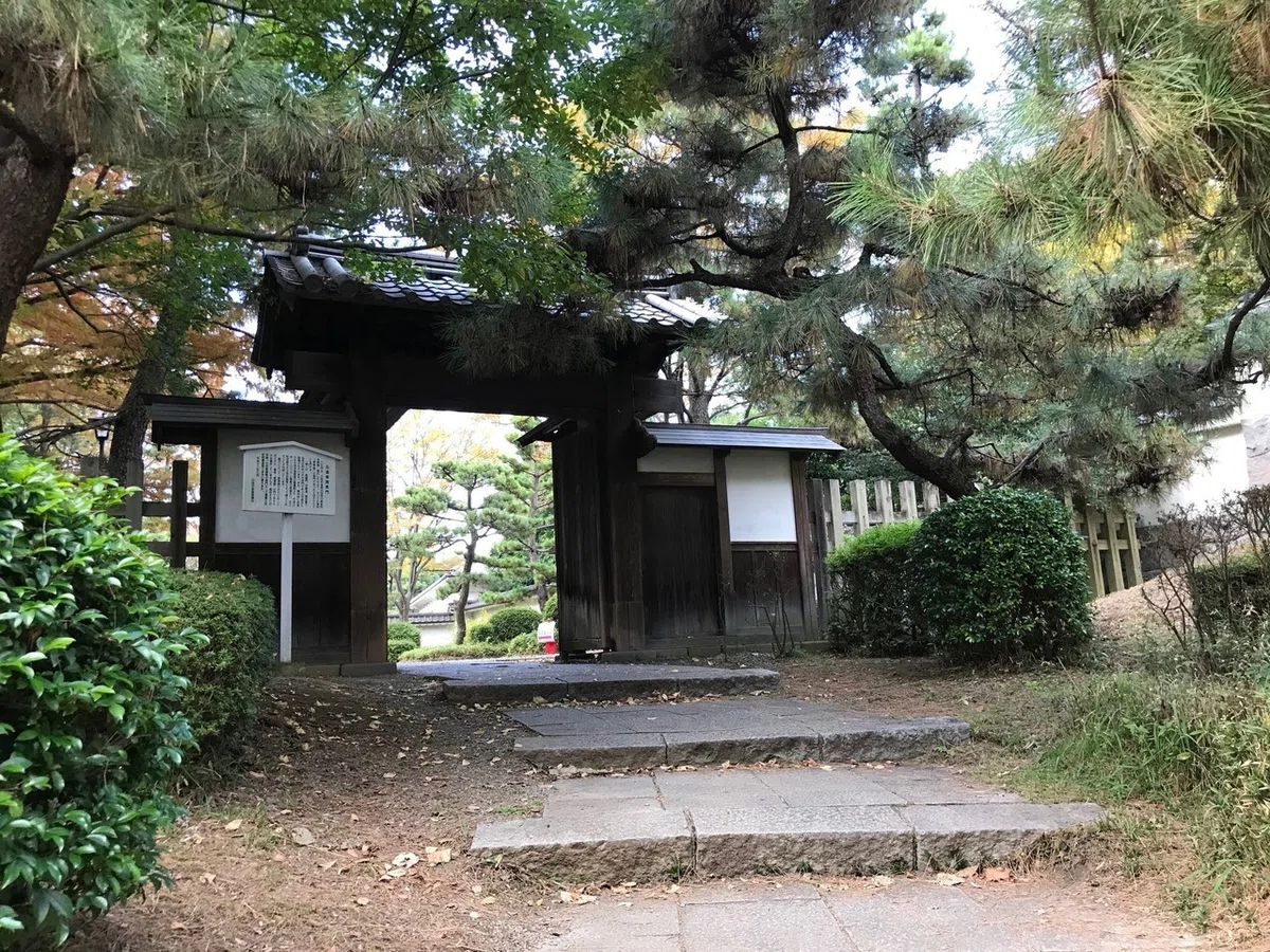 画像45