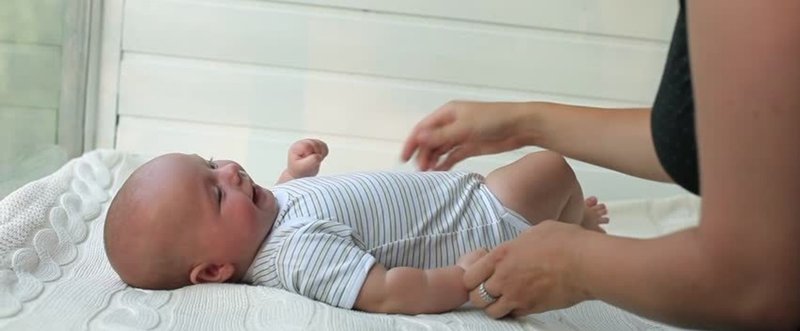 抱っこへの乳児の予期的な調節 Anticipatory Adjustments To Being Picked Up In Infancy 子どものセラピーに必要な支点 Note