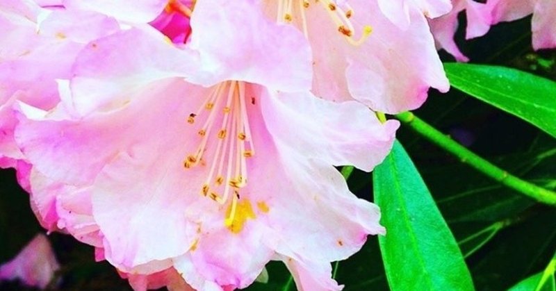 男だってキレイになりたい の新着タグ記事一覧 Note つくる つながる とどける