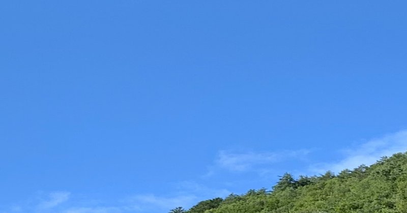 Know Thyselfとはよく言ったものだ さる友 Note Know Thyselfとはよく言ったものだ さる友 Note